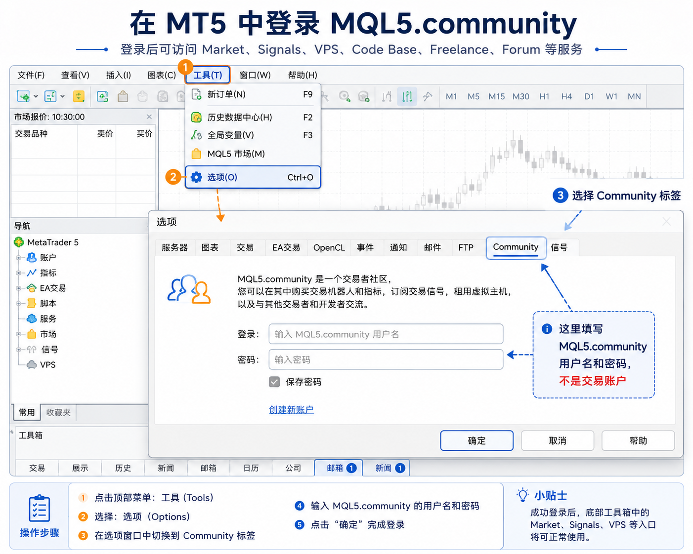 MT5 选项窗口 Community 社区标签页，标注 Tools 菜单下 Options 中的登录入口路径